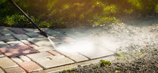 Best Sidewalk and Walkway Cleaning  in Loxley, AL